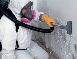 Asbestos and Lead Testing During Mold Inspection in Naples, UT